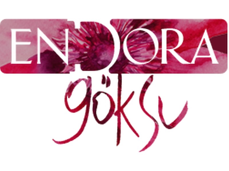 endora-goksu-ankara-logo.jpg